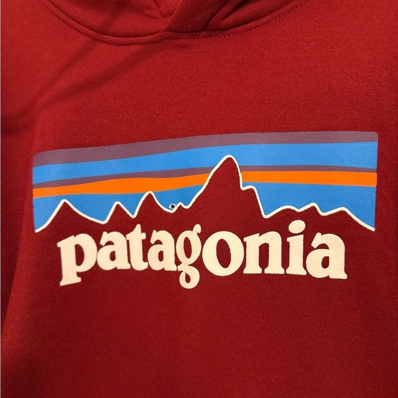 Patagonia Red Fleece Sweater with Hood - Picture 3 of 14